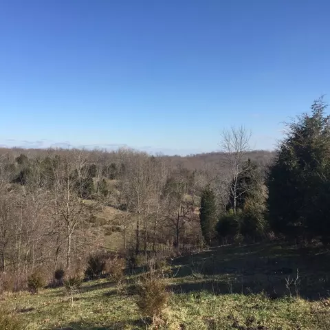 415 Bailey, Georgetown, KY 40324 photo 39