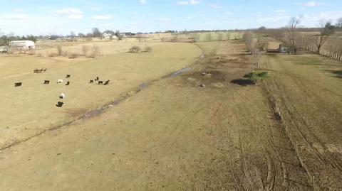 1401 Bethlehem Rd, Paris, KY 40361 photo 35