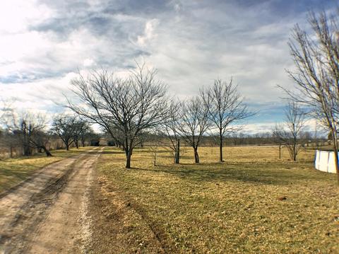 1401 Bethlehem Rd, Paris, KY 40361 photo 19