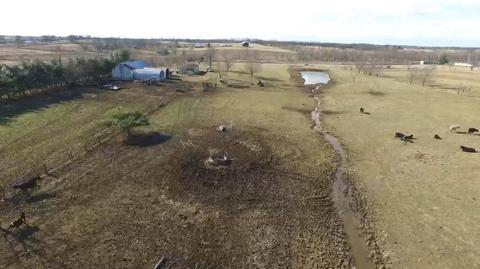 1401 Bethlehem Rd, Paris, KY 40361 photo 30