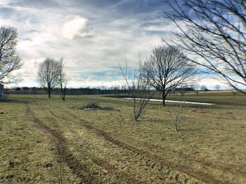 1401 Bethlehem Rd, Paris, KY 40361 photo 18