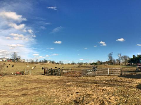 1401 Bethlehem Rd, Paris, KY 40361 photo 17