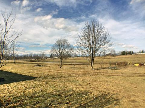1401 Bethlehem Rd, Paris, KY 40361 photo 20