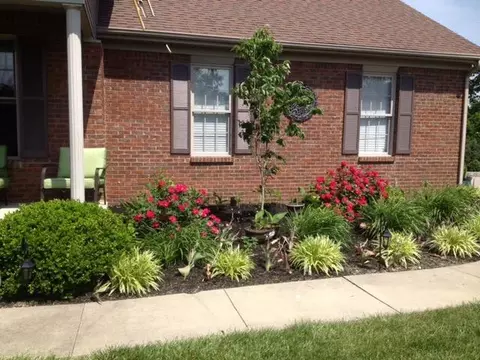 296 View Point Dr, Richmond, KY 40475 photo 10