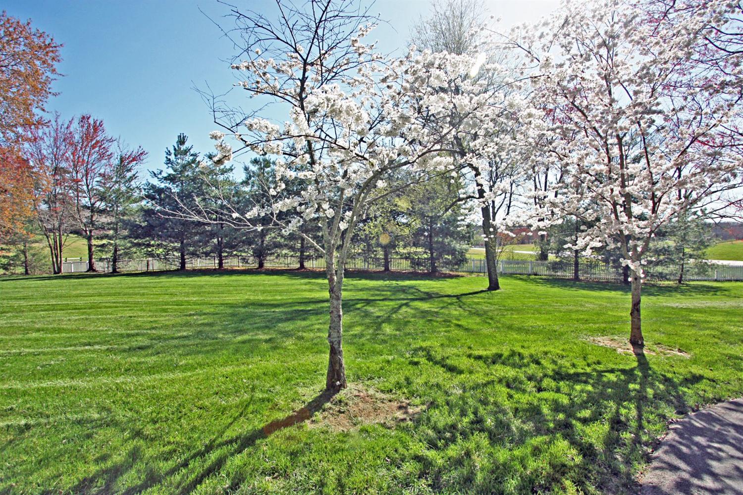 3422 5th Street Rd, Corbin, KY 40701 photo 53