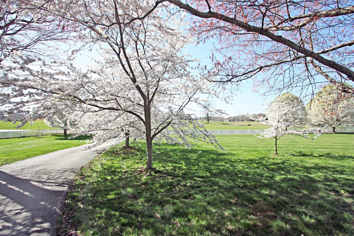 3422 5th Street Rd, Corbin, KY 40701 photo 50