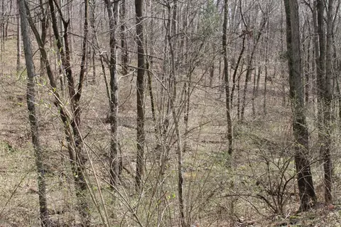 155 River Run Dr, Lancaster, KY 40444 photo 7