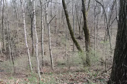 155 River Run Dr, Lancaster, KY 40444 photo 3