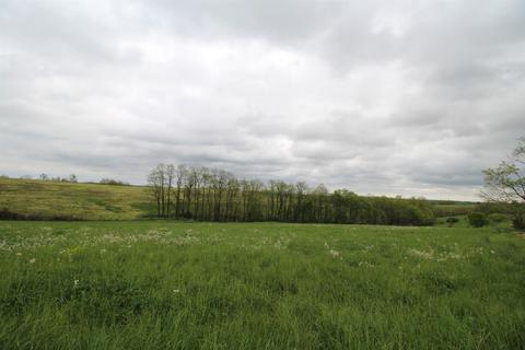 1208 Tea Run Rd, Ewing, KY 41039 photo 7