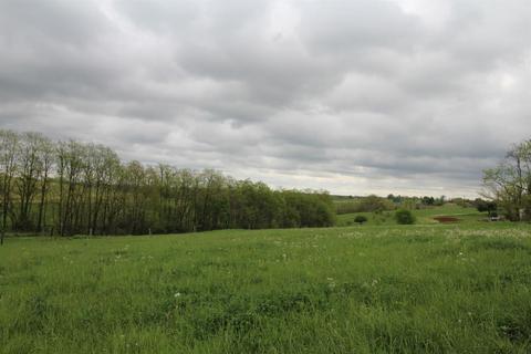 1208 Tea Run Rd, Ewing, KY 41039 photo 3