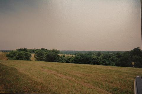 1208 Tea Run Rd, Ewing, KY 41039 photo 11