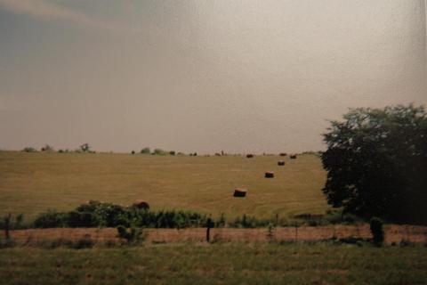 1208 Tea Run Rd, Ewing, KY 41039 photo 9
