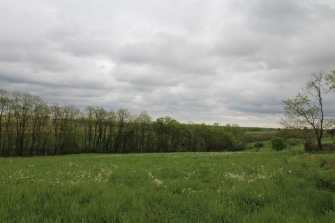 1208 Tea Run Rd, Ewing, KY 41039 photo 6