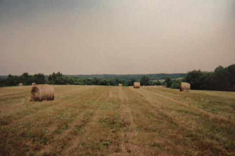 1208 Tea Run Rd, Ewing, KY 41039 photo 10