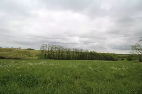 1208 Tea Run Rd, Ewing, KY 41039 photo 7
