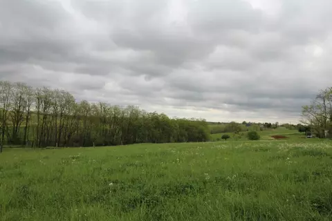 1208 Tea Run Rd, Ewing, KY 41039 photo 3