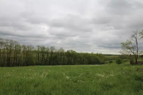 1208 Tea Run Rd, Ewing, KY 41039 photo 6