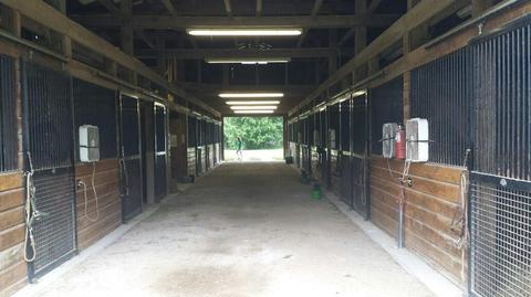 1422 Georgetown Rd, Georgetown, KY 40347 photo 5