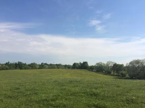 520 Hifner Rd, Versailles, KY 40383 photo 45