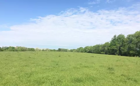 520 Hifner Rd, Versailles, KY 40383 photo 24