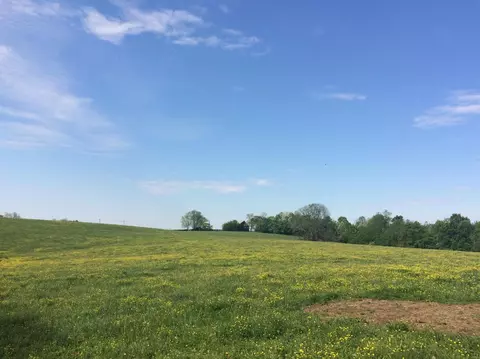 520 Hifner Rd, Versailles, KY 40383 photo 35