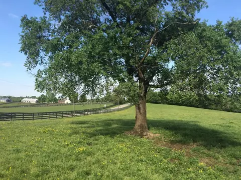 520 Hifner Rd, Versailles, KY 40383 photo 30