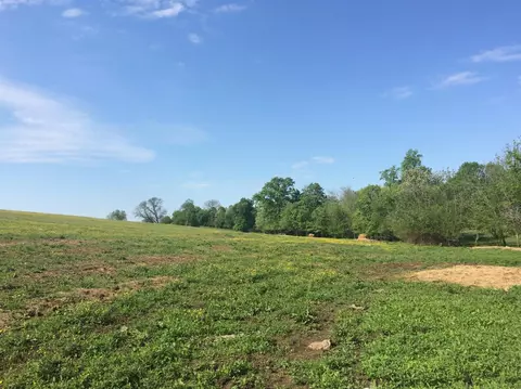 520 Hifner Rd, Versailles, KY 40383 photo 39