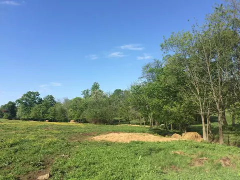 520 Hifner Rd, Versailles, KY 40383 photo 38