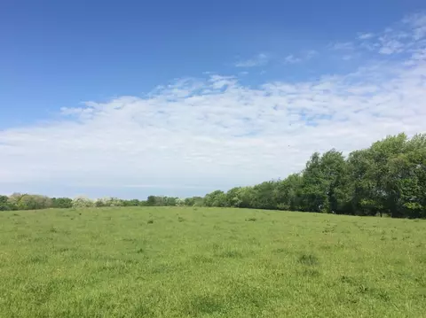 520 Hifner Rd, Versailles, KY 40383 photo 25