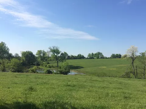 520 Hifner Rd, Versailles, KY 40383 photo 19