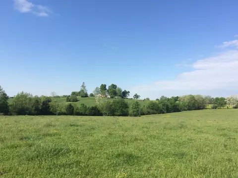520 Hifner Rd, Versailles, KY 40383 photo 26