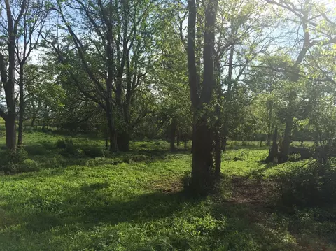 520 Hifner Rd, Versailles, KY 40383 photo 37