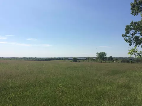 520 Hifner Rd, Versailles, KY 40383 photo 13