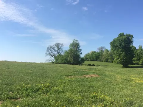 520 Hifner Rd, Versailles, KY 40383 photo 41