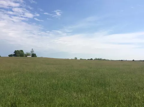 520 Hifner Rd, Versailles, KY 40383 photo 15