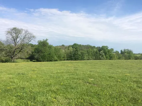 520 Hifner Rd, Versailles, KY 40383 photo 44