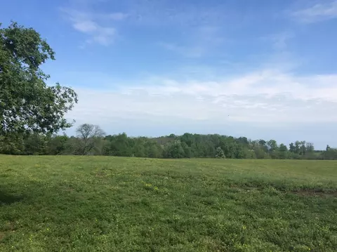 520 Hifner Rd, Versailles, KY 40383 photo 32