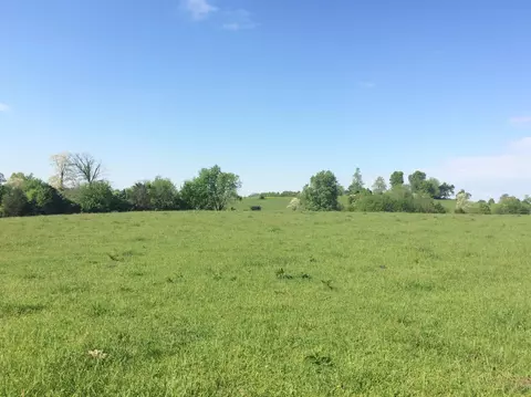 520 Hifner Rd, Versailles, KY 40383 photo 21