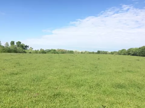 520 Hifner Rd, Versailles, KY 40383 photo 23