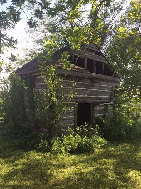 520 Hifner Rd, Versailles, KY 40383 photo 7