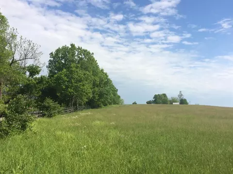 520 Hifner Rd, Versailles, KY 40383 photo 16