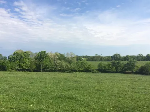 520 Hifner Rd, Versailles, KY 40383 photo 2