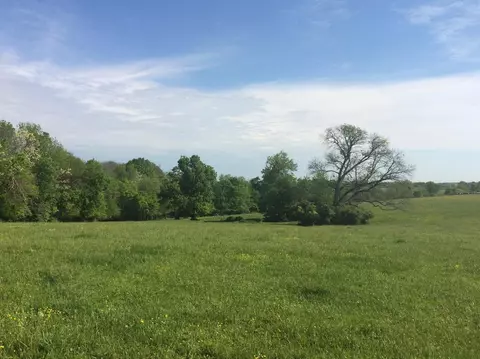 520 Hifner Rd, Versailles, KY 40383 photo 42
