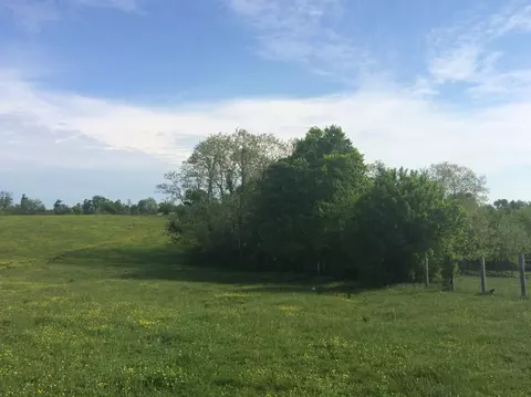 520 Hifner Rd, Versailles, KY 40383 photo 34