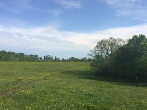 520 Hifner Rd, Versailles, KY 40383 photo 33
