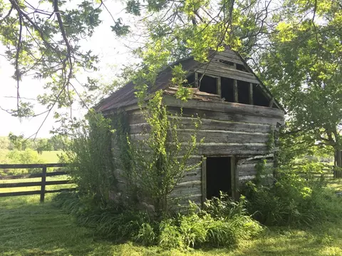 520 Hifner Rd, Versailles, KY 40383 photo 8