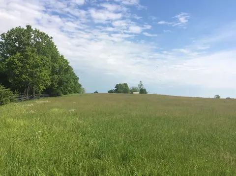 520 Hifner Rd, Versailles, KY 40383 photo 14