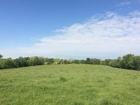 520 Hifner Rd, Versailles, KY 40383 photo 28