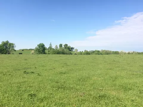 520 Hifner Rd, Versailles, KY 40383 photo 22
