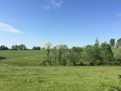 520 Hifner Rd, Versailles, KY 40383 photo 18
